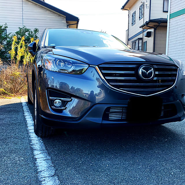 suv/CX-5/ガレージが欲しい/玄関/入り口のインテリア実例 - 2019-03-24 09:24:53