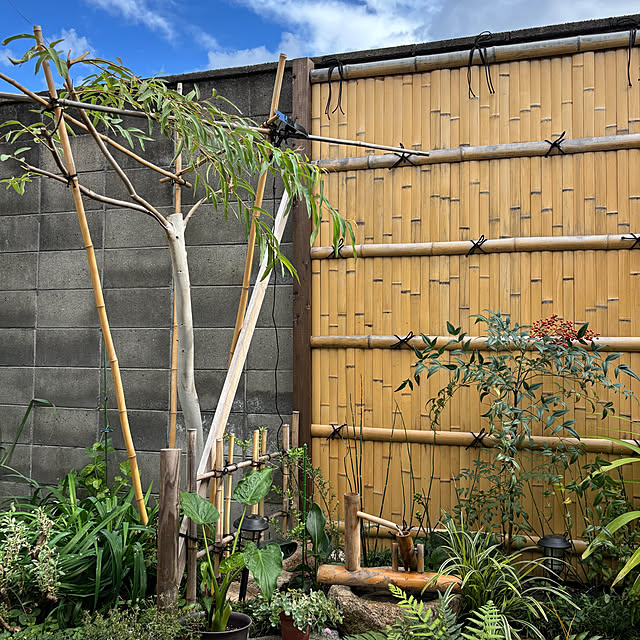 fawnさんの実例写真