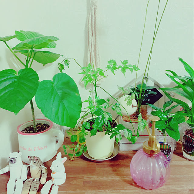 yuzuiroyui.h_yさんの実例写真
