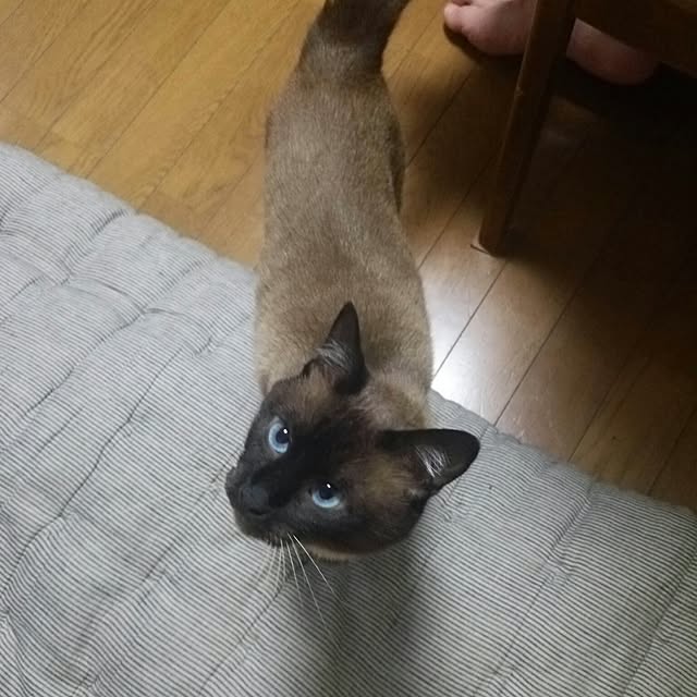 ricoさんの実例写真