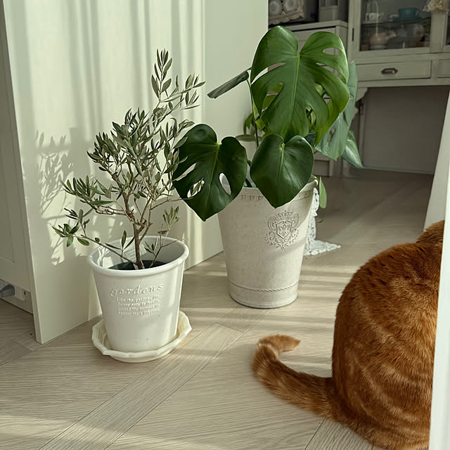 m623さんの実例写真