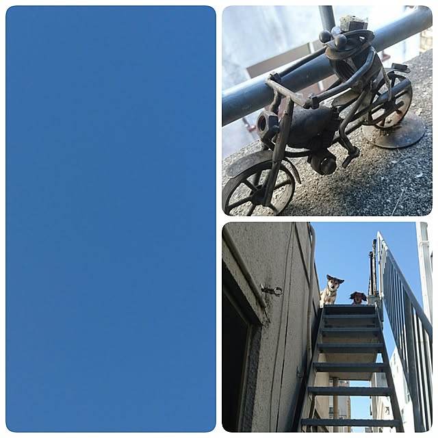 andさんの実例写真
