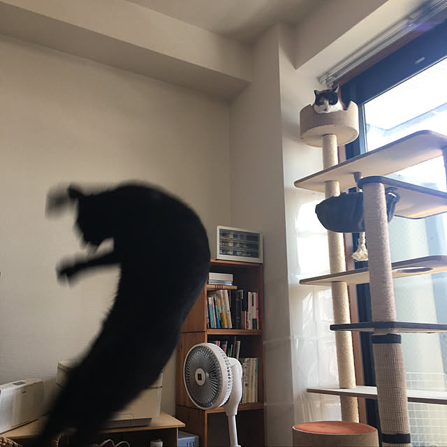 Kao_1140.29さんの実例写真