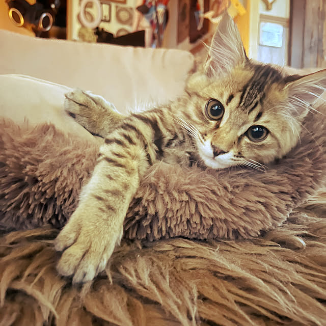 Mさんの部屋