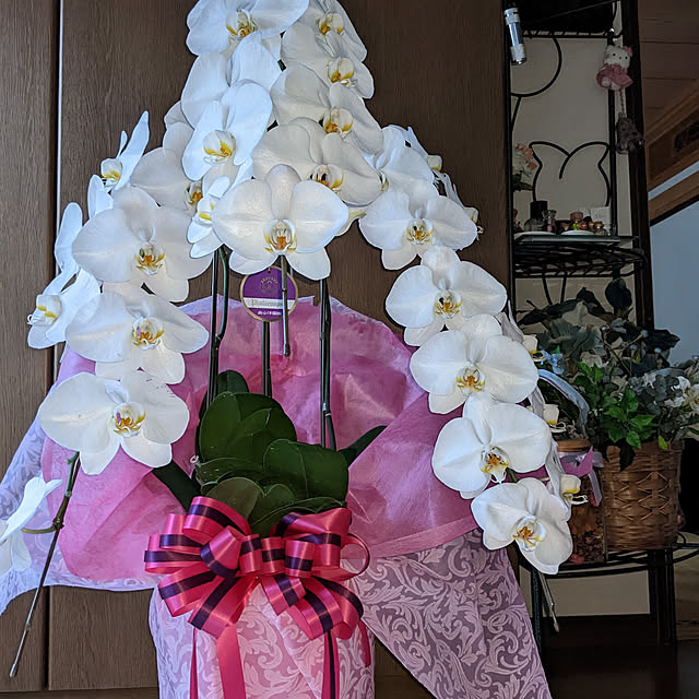 mayumiさんの実例写真