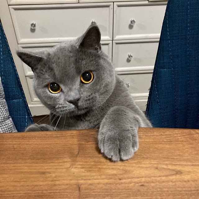 emabokさんの実例写真