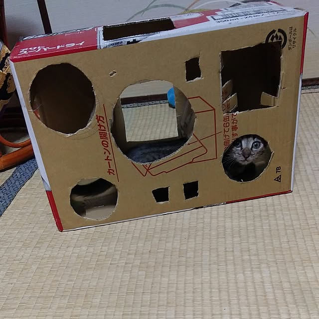 tantomeenさんの実例写真