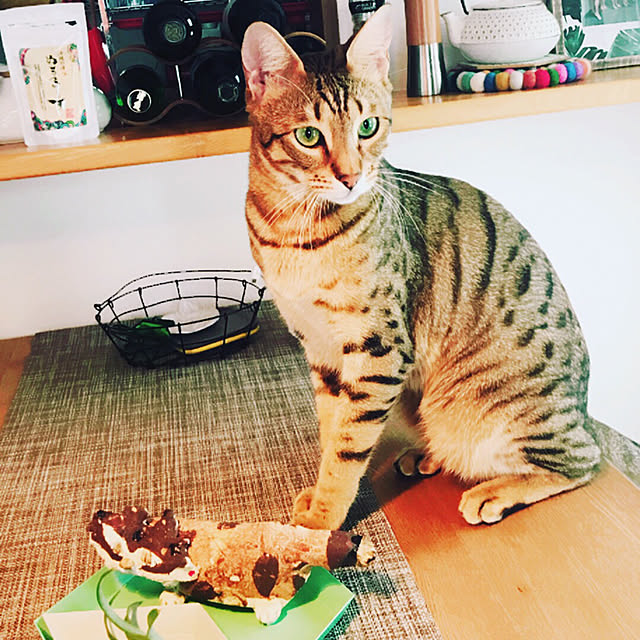 romico618さんの実例写真