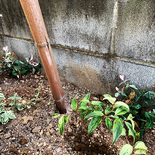 sayamamaさんの実例写真