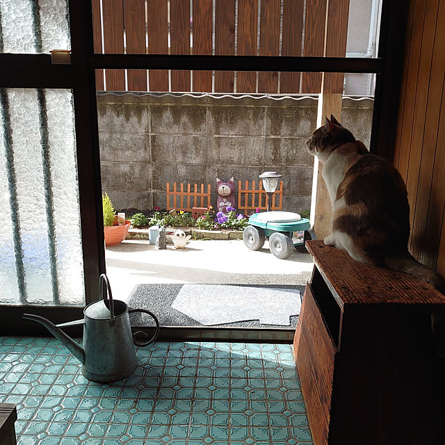 fukuさんの実例写真