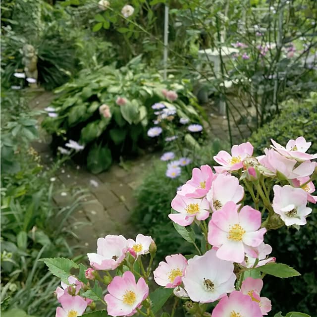 s.mamaさんの実例写真