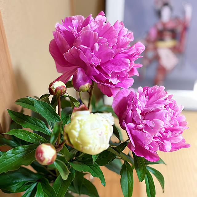 Nagakoさんの実例写真