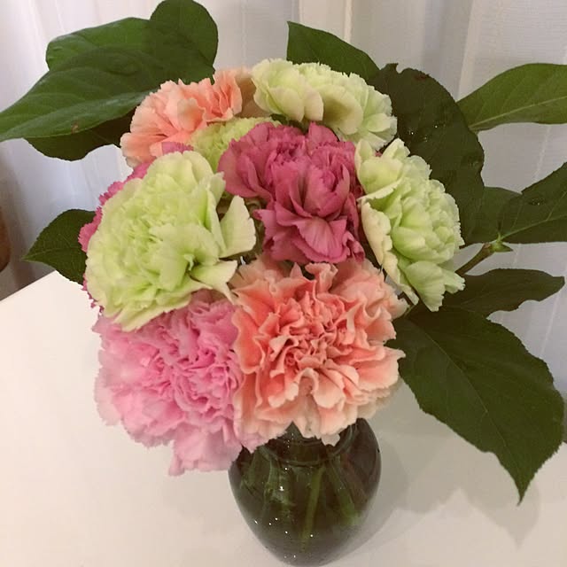 Yunaさんの実例写真