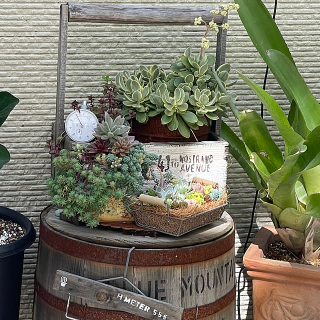 calmeさんの実例写真