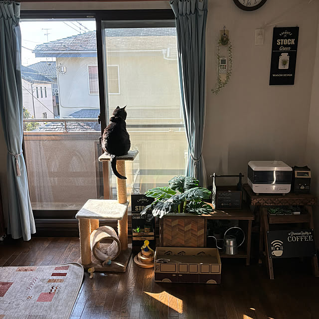 momocchiさんの実例写真