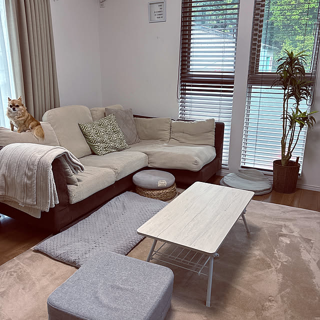 misacatさんの実例写真