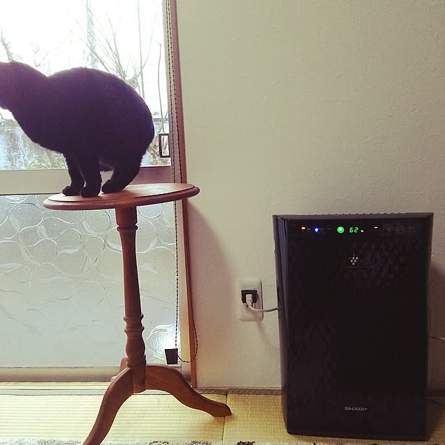 kuromiさんの実例写真