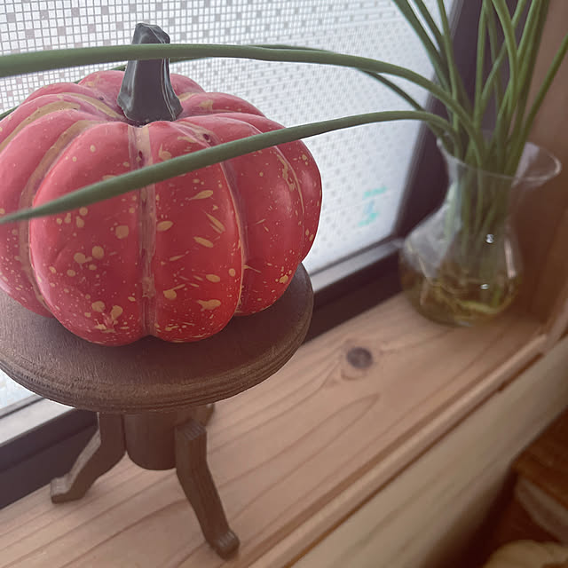 nikoさんの実例写真