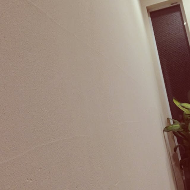 nozomixさんの実例写真