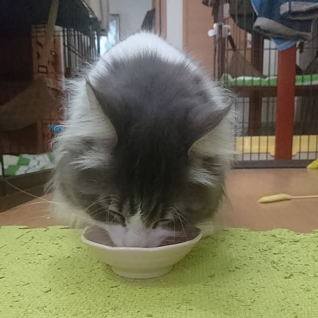 shinobuさんの実例写真