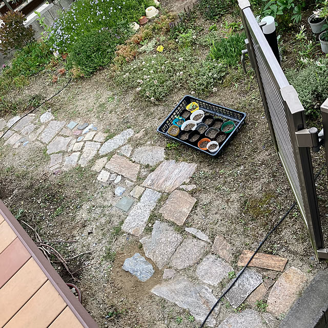 ayayayayaさんの実例写真