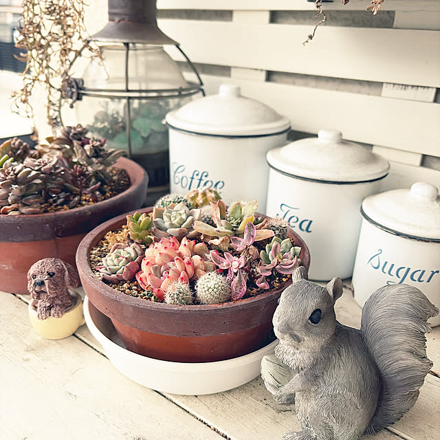 michiさんの実例写真