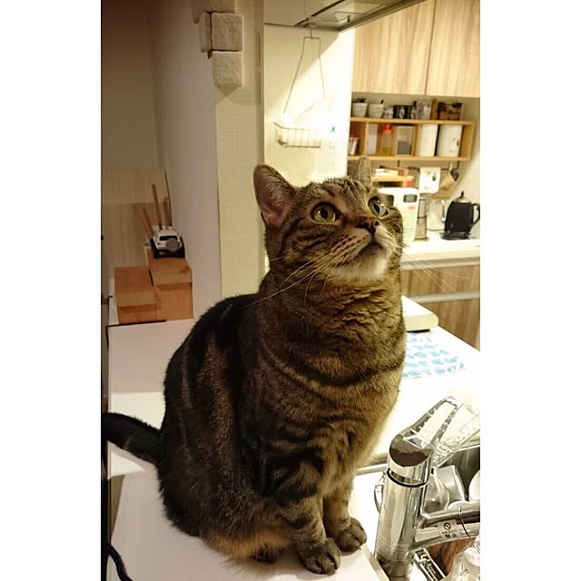 mikomaruさんの実例写真