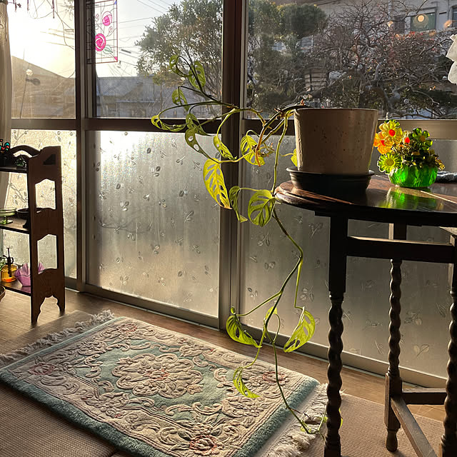 shin0719さんの実例写真