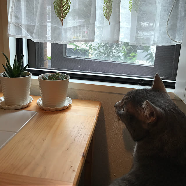 Machikoさんの実例写真