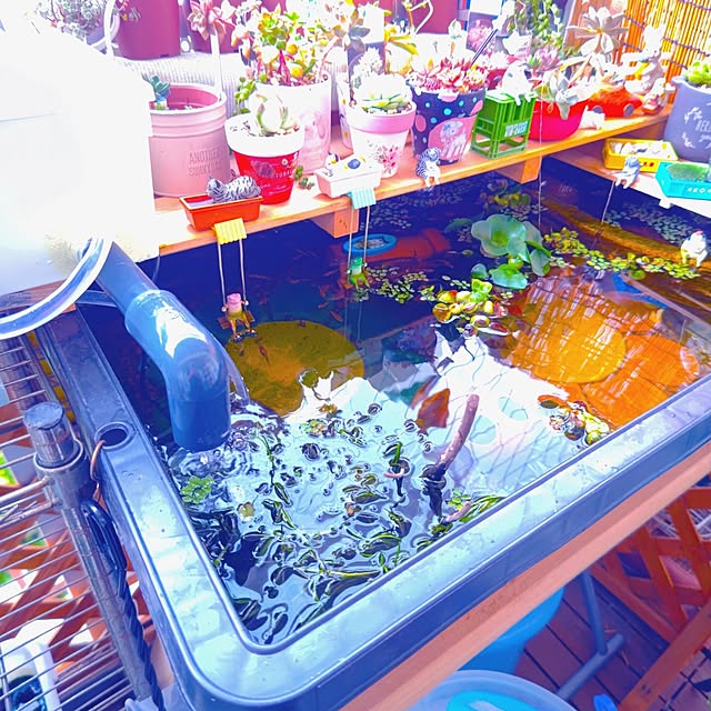 mariaさんの部屋