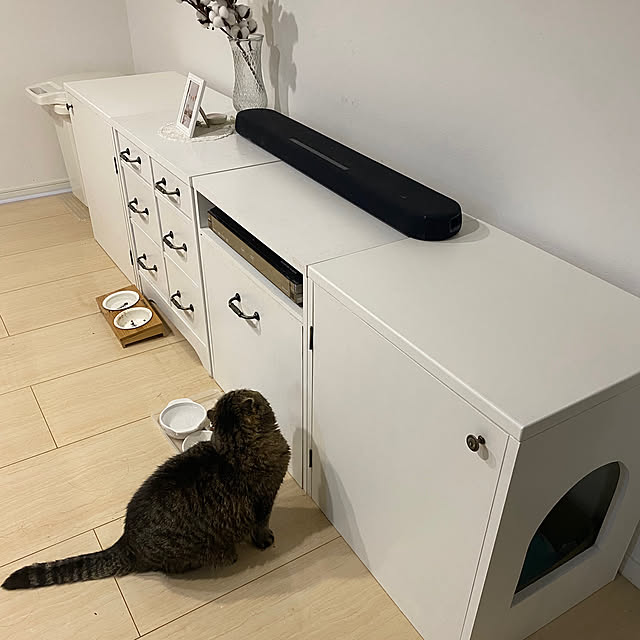 cat2525さんの実例写真