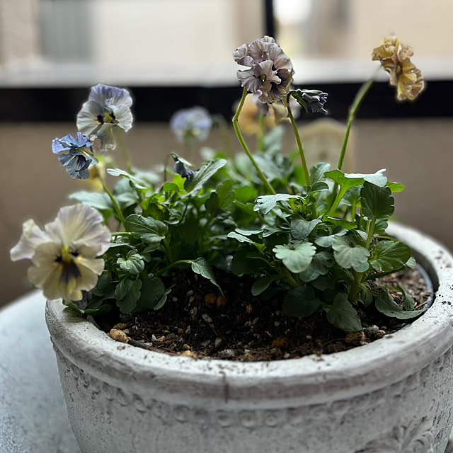 Kuniさんの実例写真