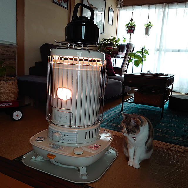 fukuさんの実例写真