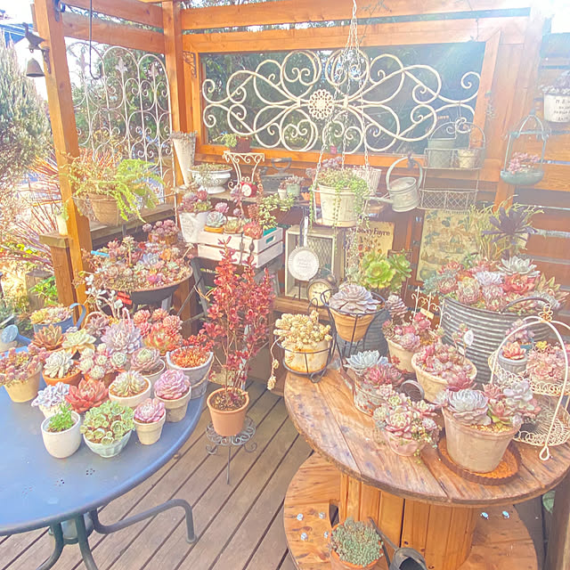 mintteaさんの実例写真