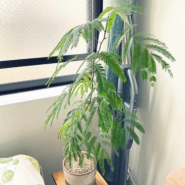 kiyuさんの部屋
