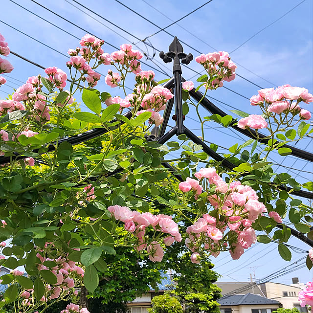 yuchiさんの実例写真