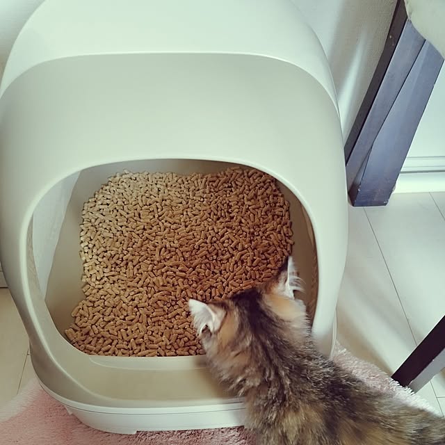 chacoさんの実例写真