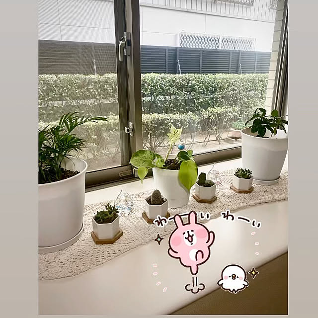YuuKoさんの実例写真