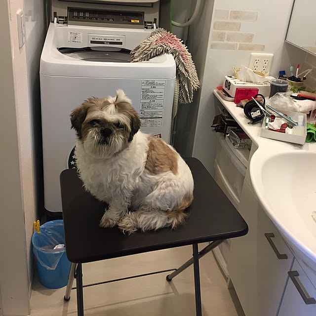 emiさんの実例写真