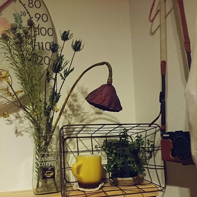 pontikuさんの実例写真
