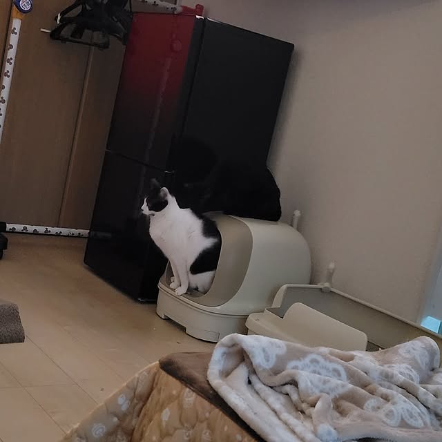 KimmieMouseさんの実例写真