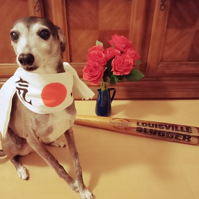 moruさんの部屋