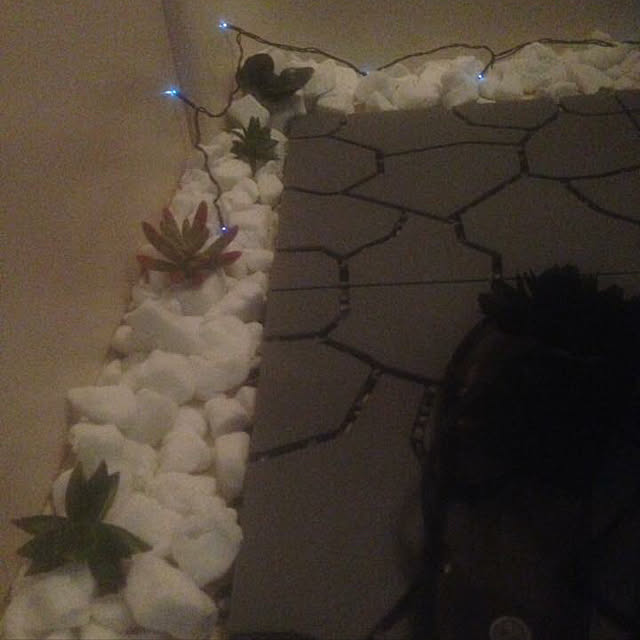 実例写真