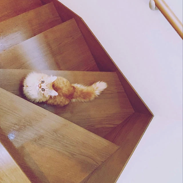 HULAさんの実例写真
