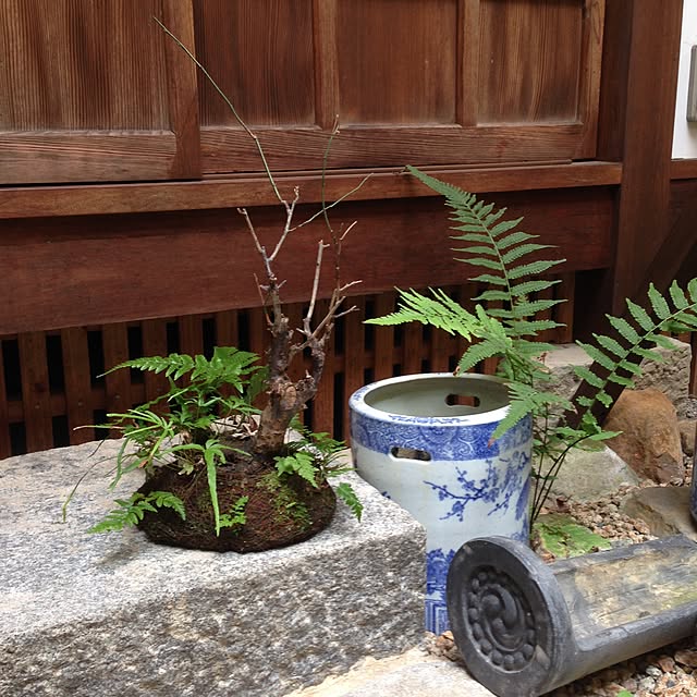 KAZさんの実例写真
