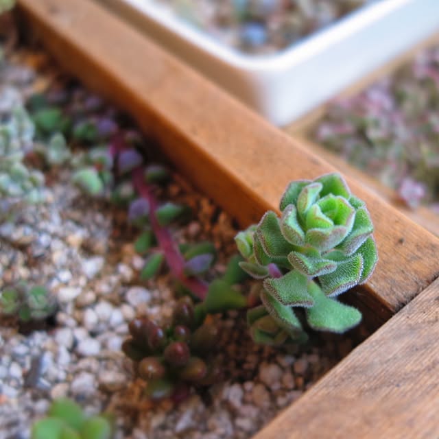 nan_tocoさんの実例写真