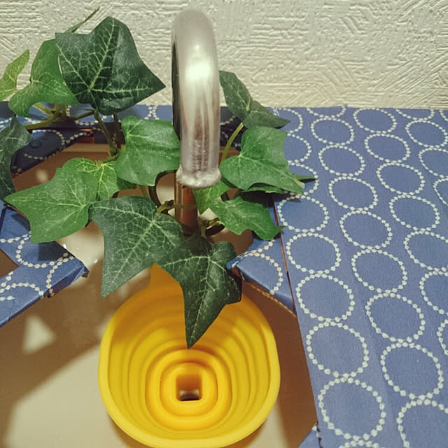 rokudenashiさんの実例写真