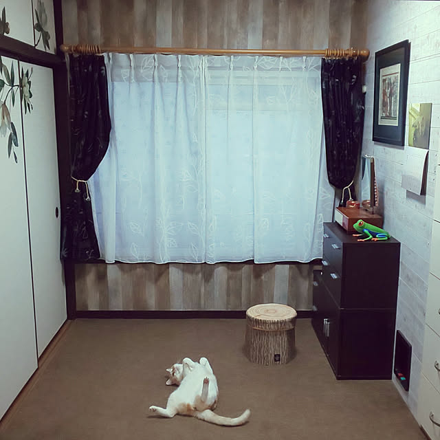 kobakissaさんの実例写真