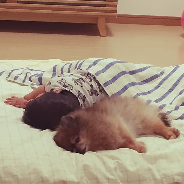 kumaさんの実例写真