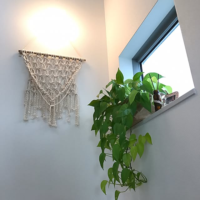akko-rinさんの実例写真